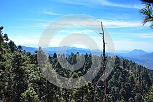 Mountains and trees at Sierra Chincua photo