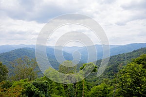 mountains, trees and sky