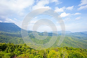 mountains, trees and sky