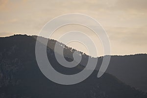 Mountains with trees at sunset in Cirali