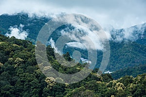 Mountains in tropical rainforest valley landscape with fog at Mo