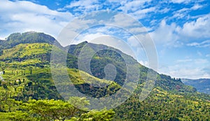 Mountains, tropical vegetation and bright sky. Sri Lanka