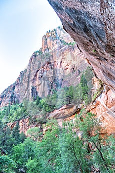 Mountains and vegetation in the Zion National Park, Emerald Pool