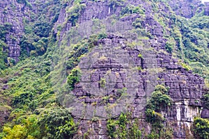 Mountains in Vietnam, Close up of the rock on the side of steep cliff face on a mountain and Surrounded by green trees In Hanoi,