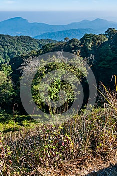 Mountains view at Doi Intanon national park