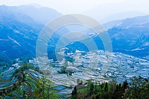 Mountains view of Yuanyang Rice Terraces in blue mist