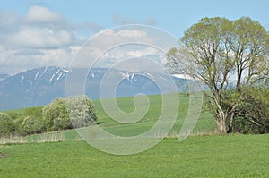 Mountains, views of the Western Tatras, snow-capped peaks. Slovakia