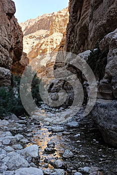 Mountains and water in the Ein Gedi nature reserve