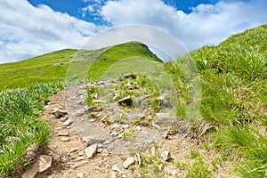 Mountains way landscape. Carpathians. Poland.