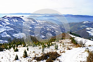 Mountains of Western Serbia in winter.