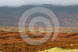 Mountains Wicklow Ireland