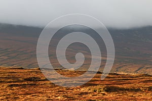 Mountains Wicklow Ireland