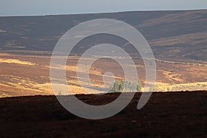 Mountains Wicklow Ireland