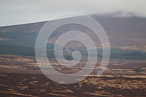 Mountains Wicklow Ireland