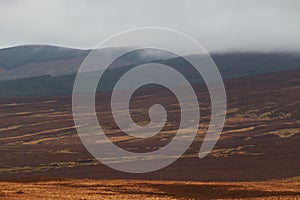 Mountains Wicklow Ireland