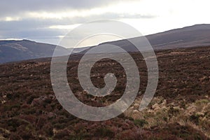 Mountains Wicklow Ireland