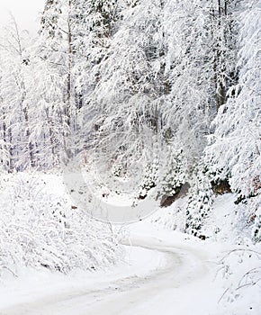 Mountains winter road covered snow