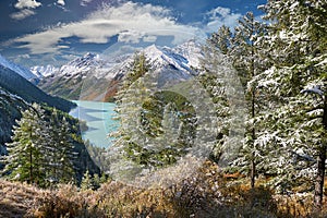 Mountains, winter snowy forest