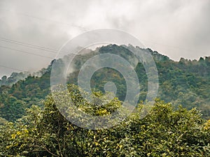 MountainScape on Tianzishan mountain in Zhangjiajie National Forest Park