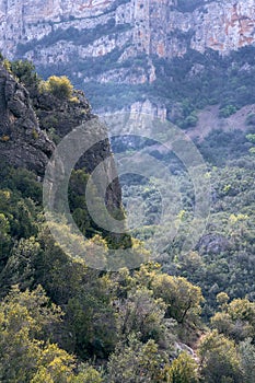 Mountainside Forest View in Catalonia photo