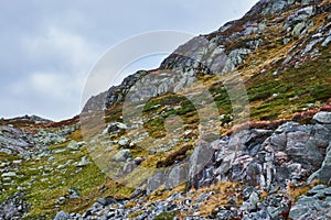 Mountainside with grass and stones