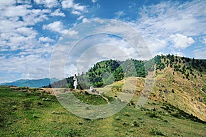 The Mountainside Kashmir