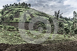 Mountainside in Nord Kivu