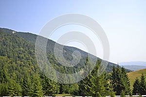 Mountainside view from roadside