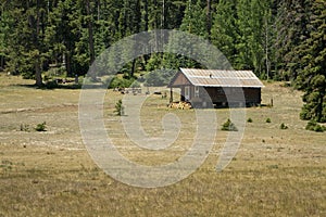 Mountaintop Rustic Vacation Cabin