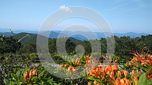 Mountaintop View, Brasstown Bald, Georgia