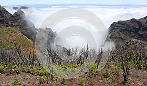 Mountainview above the clouds