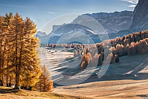 Mountan in Alpe de Siusi