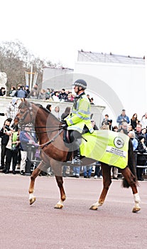 Mounted police