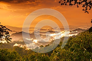 Mountian and cloud in tropical forest photo