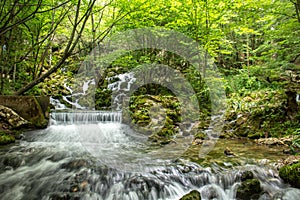 Mountine river Grza in the forest