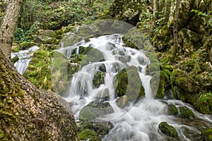 Mountine river Grza in the forest