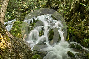 Mountine river Grza in the forest