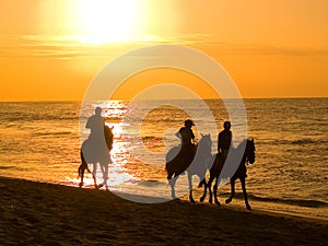 by mounting a horse in a summer afternoon in piura