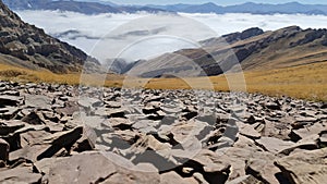 Mountion Cloud, nice