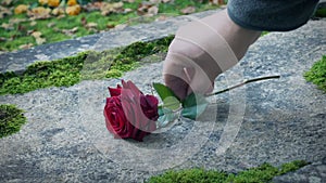 Mourner Puts A Rose On Grave