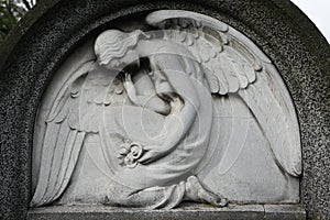 Mourning angel at the abandoned cemetery.