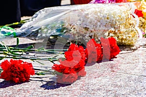 Mourning flowers, carnations, mourn