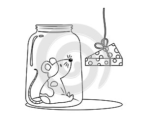 A Mouse in Bottle Colorless