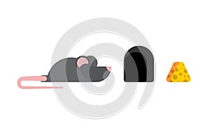 Mouse and cheese and burrow set. Vector illustration