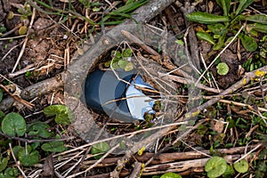 A mouse for computers poisons and pollutes nature in Germany as electronic waste