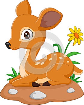 Mouse Deer cartoon illustration