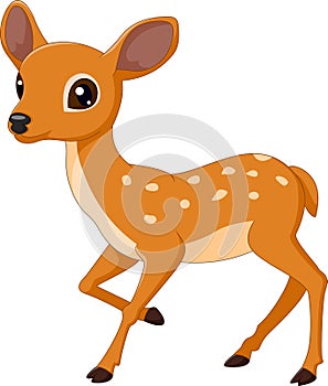 Mouse Deer cartoon illustration