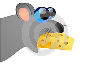 mouse eating cheese