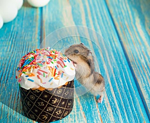 mouse eats an Easter cake on turquoise wooden table. traditional treat