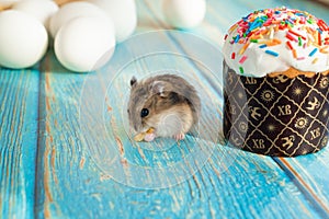 mouse eats an Easter cake on turquoise wooden table. traditional treat